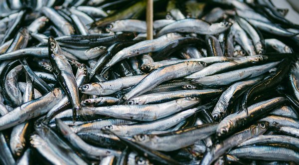 Créer un Havre de Paix à Domicile : Nos Astuces pour un Espace Relaxation Idéal